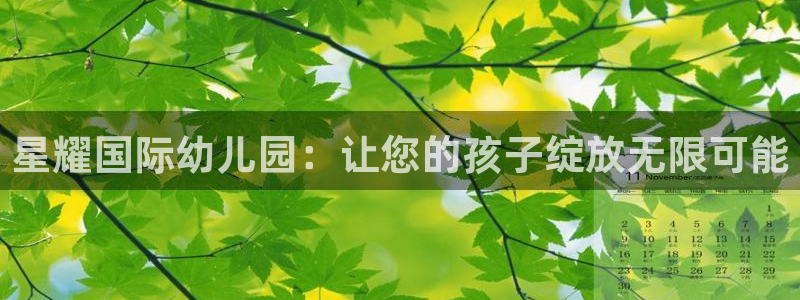 星辉平台体育代理申请流程：星耀国际幼儿园：让您的孩子绽放无限可能