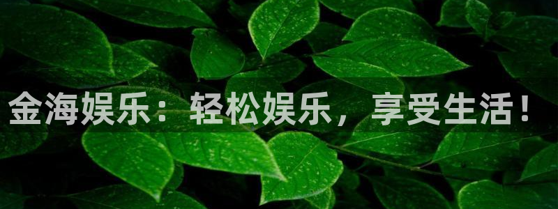 星辉平台3登录：金海娱乐：轻松娱乐，享受生活！
