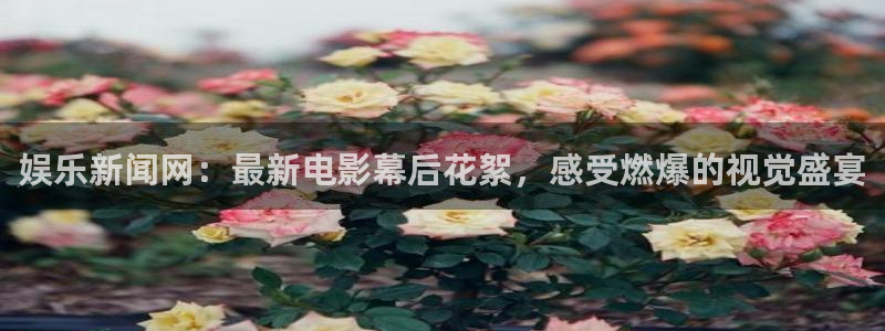 星辉平台电子有限公司：娱乐新闻网：最新电影幕后花絮，感受燃爆的视觉盛宴