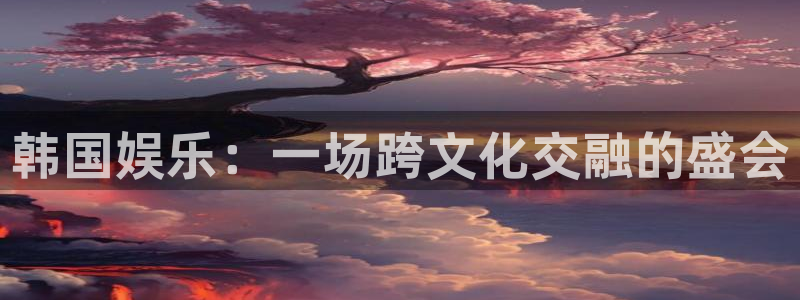 星辉平台是什么：韩国娱乐：一场跨文化交融的盛会