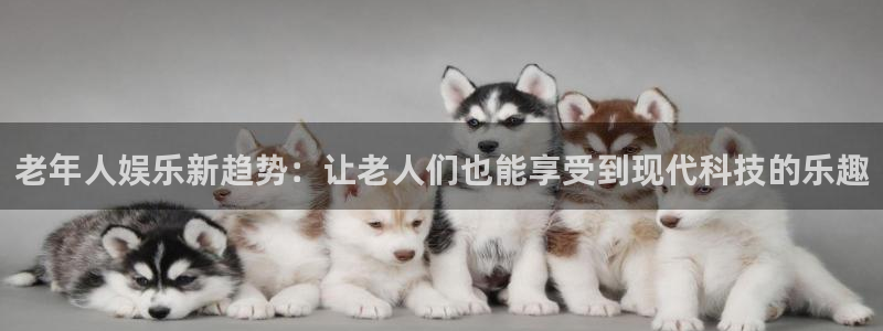 南宫星辉平台：老年人娱乐新趋势：让老人们也能享受到现代科技的乐趣