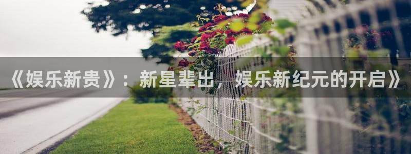 星辉平台官网入口：《娱乐新贵》：新星辈出，娱乐新纪元的开启》