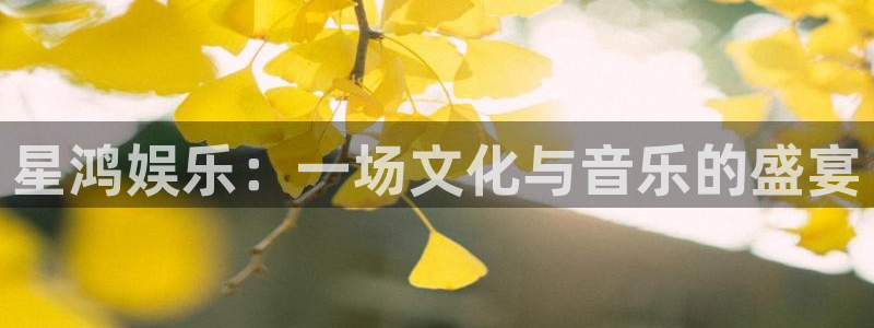 德国星辉平台集团：星鸿娱乐：一场文化与音乐的盛宴