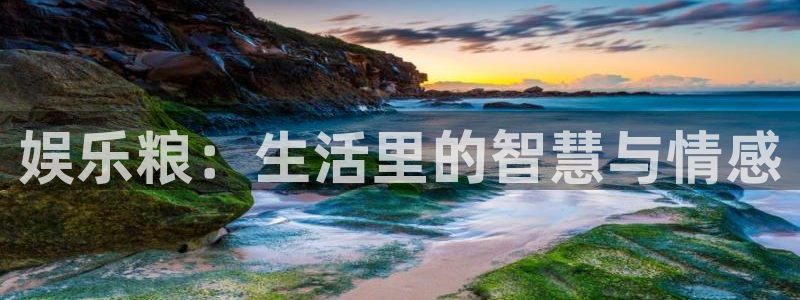 星辉平台注册网站：娱乐粮：生活里的智慧与情感