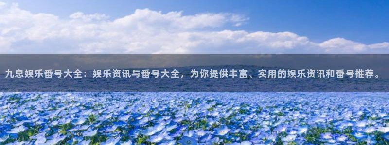 星辉平台娱乐：九息娱乐番号大全：娱乐资讯与番号大全，为你提供丰富、实用的娱乐资讯