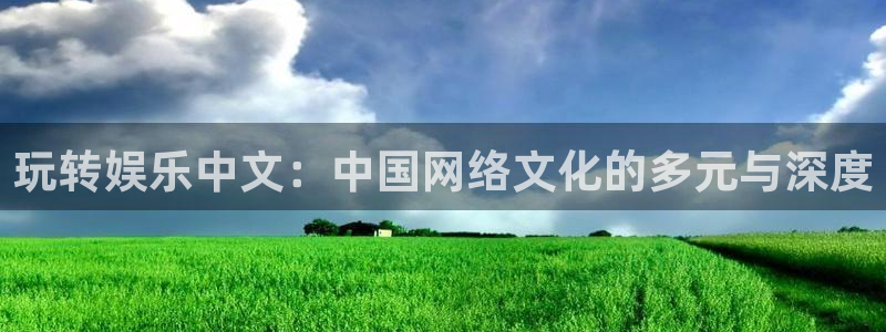 星辉平台平台注册：玩转娱乐中文：中国网络文化的多元与深度