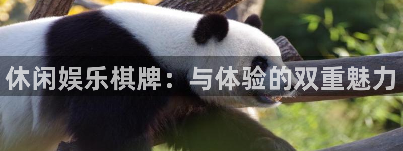 星辉平台ccmpc麻将胡了：休闲娱乐棋牌：与体验的双重魅力