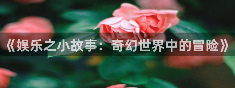 星辉平台主管：《娱乐之小故事：奇幻世界中的冒险》