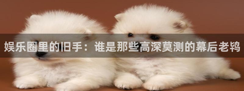 星辉平台电子游戏：娱乐圈里的旧手：谁是那些高深莫测的幕后老鸨