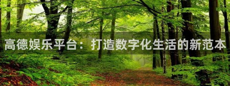 星辉平台下载链接是多少：高德娱乐平台：打造数字化生活的新范本