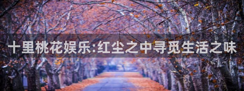 星辉平台平台主管：十里桃花娱乐:红尘之中寻觅生活之味