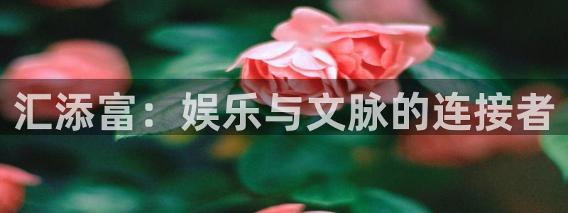 星辉平台账号注册入口：汇添富：娱乐与文脉的连接者