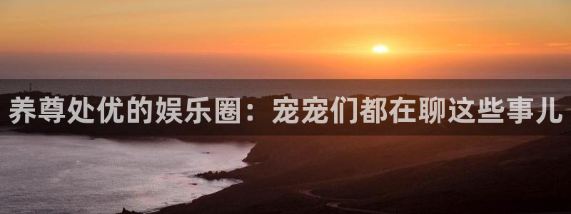 星辉平台哪个游戏好爆：养尊处优的娱乐圈：宠宠们都在聊这些事儿