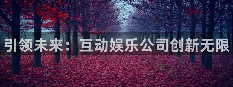 星辉平台能源：引领未来：互动娱乐公司创新无限