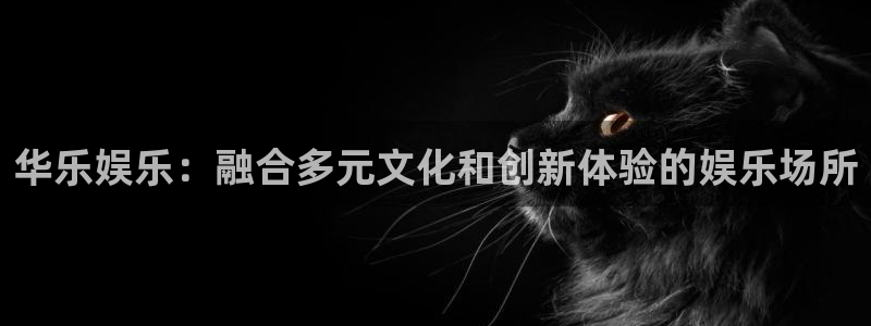 星辉平台股份：华乐娱乐：融合多元文化和创新体验的娱乐场所