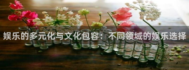 星辉平台体育论坛：娱乐的多元化与文化包容：不同领域的娱乐选择