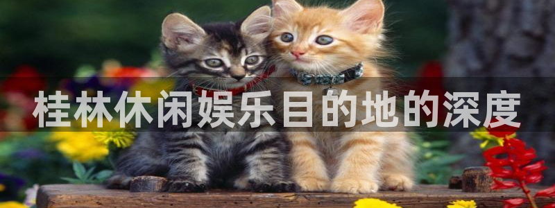 星辉平台账号注册：桂林休闲娱乐目的地的深度