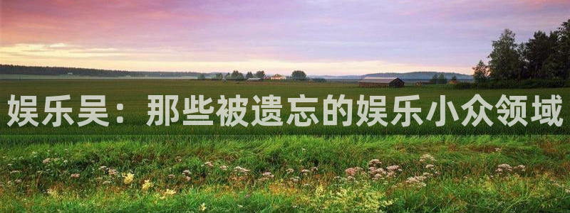 星辉平台3注册：娱乐吴：那些被遗忘的娱乐小众领域
