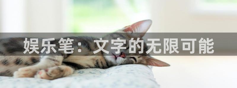 星辉平台f凯捷注册：娱乐笔：文字的无限可能
