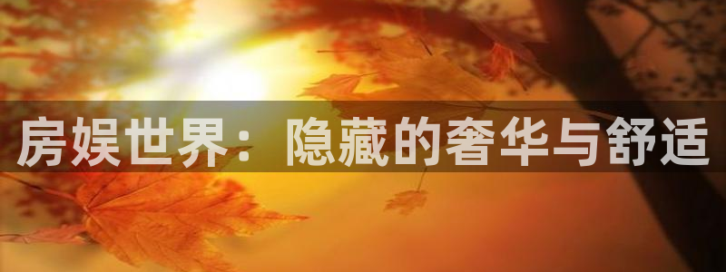 星辉平台免费注册：房娱世界：隐藏的奢华与舒适