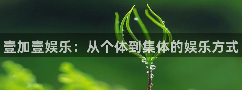 星辉平台软件：壹加壹娱乐：从个体到集体的娱乐方式
